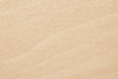 Yüksek çözünürlüklü doğal desenli bir Hollywood yüzeyi. Tahta taneli doku arkaplanı.