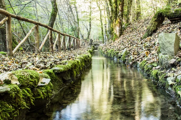 Mountain stream — Stock Photo, Image