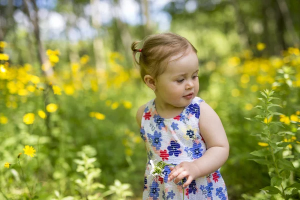 Маленькая девочка в лесном парке — стоковое фото