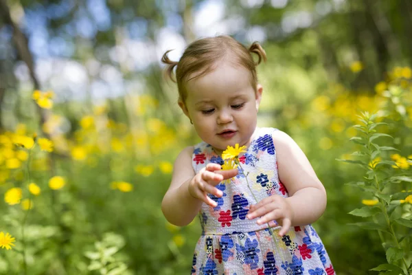 Маленькая девочка в лесном парке — стоковое фото