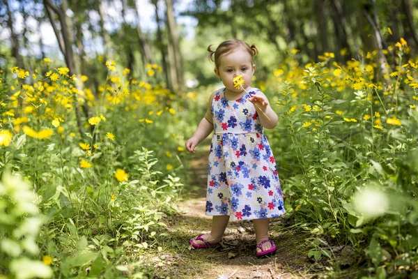 森林公園の少女 — ストック写真