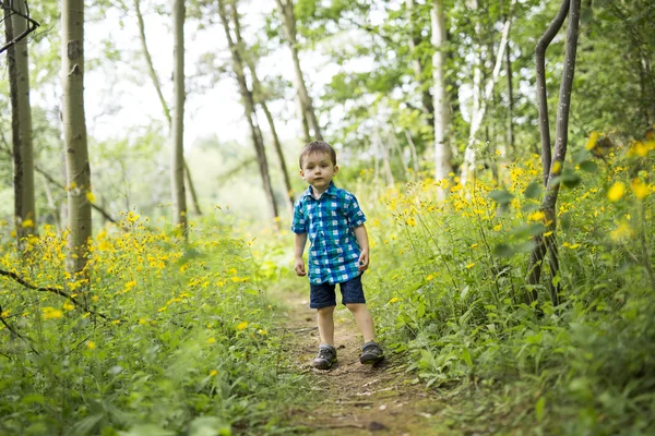 Niño en el bosque divirtiéndose — Foto de Stock