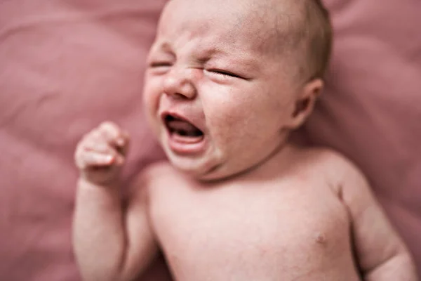 The crying child on a pink background — Stock Photo, Image