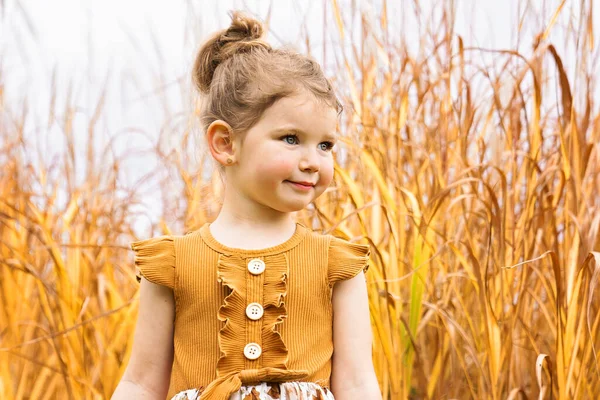 Mignon enfant fille dans le parc d'automne le matin — Photo