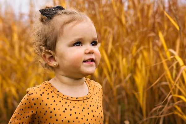 Schattig kind meisje in de herfst park in de ochtend — Stockfoto