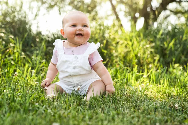 幸せな可愛いですぽっちゃり女の子座っていますザ草 — ストック写真