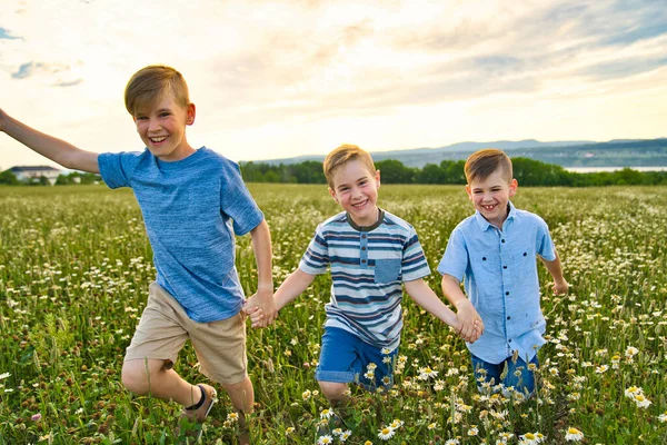 Vacker bror pojke i Daisy fält på solnedgången, sommartid — Stockfoto