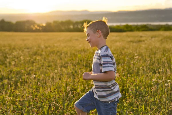 Krásný chlapeček v sedmikráskovém poli při západu slunce, v létě — Stock fotografie