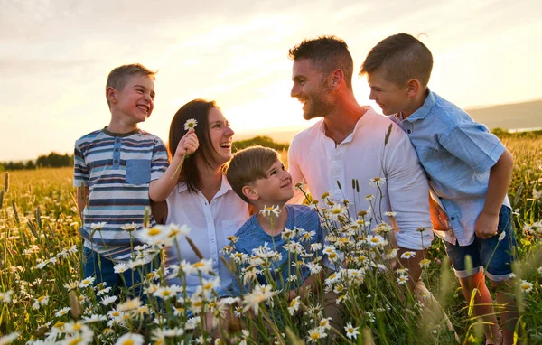 Szczęśliwa rodzina na polu stokrotki o zachodzie słońca świetnie się razem bawią — Zdjęcie stockowe