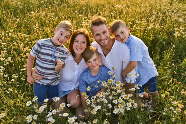 一緒に楽しい時間を過ごしている夕日のデイジーフィールド上の幸せな家族 — ストック写真