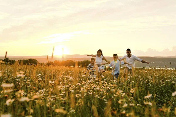 Happy family on daisy field at the sunset having great time together running and fly — Stock Photo, Image