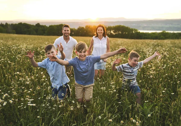 Famiglia felice sul campo margherita al tramonto divertendosi insieme correndo insieme — Foto Stock