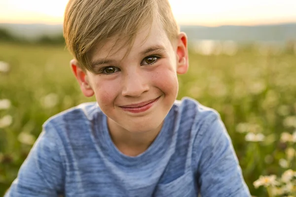 Hermoso niño en el campo de margaritas en la puesta del sol, verano —  Fotos de Stock