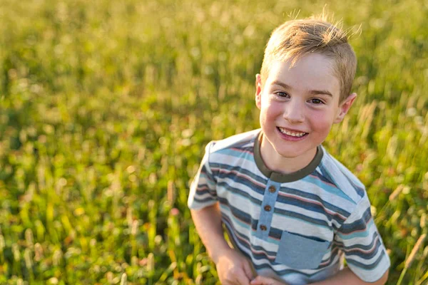 Beautiful little boy in daisy field on sunset, summertime Royalty Free Stock Images