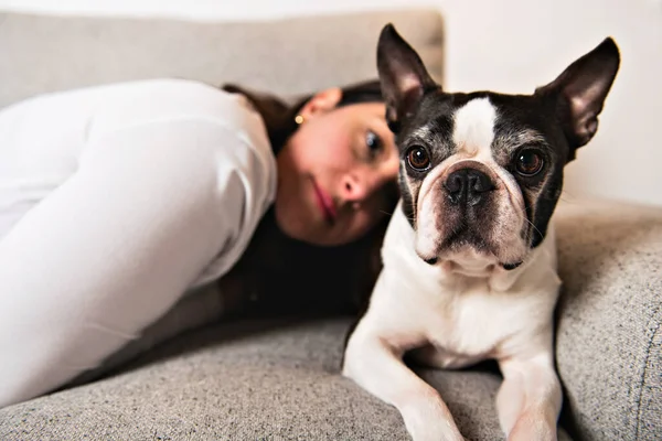 Woman with is Boston Terrier on the living room — Stock Photo, Image