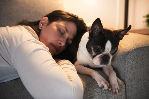 Frau mit Boston Terrier im Wohnzimmer — Stockfoto