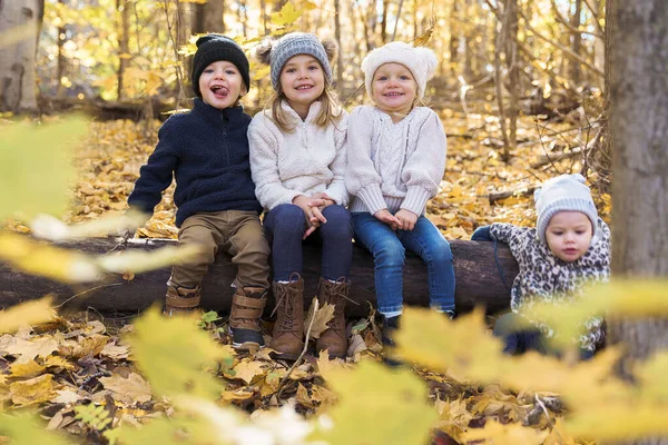 cute caucasian kids on fall season outdoors sit on log