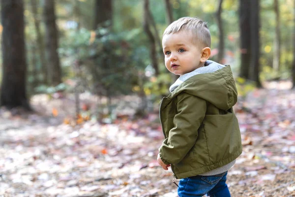 Kleine peuter jongen in de herfst park lopen eenzaam — Stockfoto