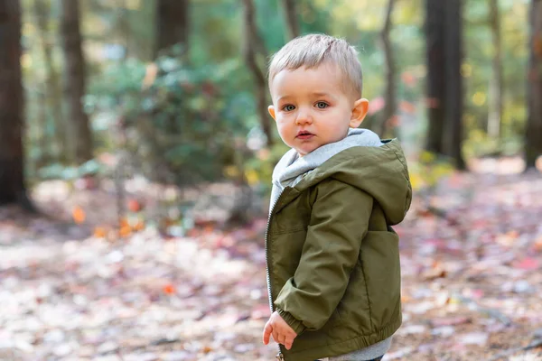 Kleine peuter jongen in de herfst park lopen eenzaam — Stockfoto