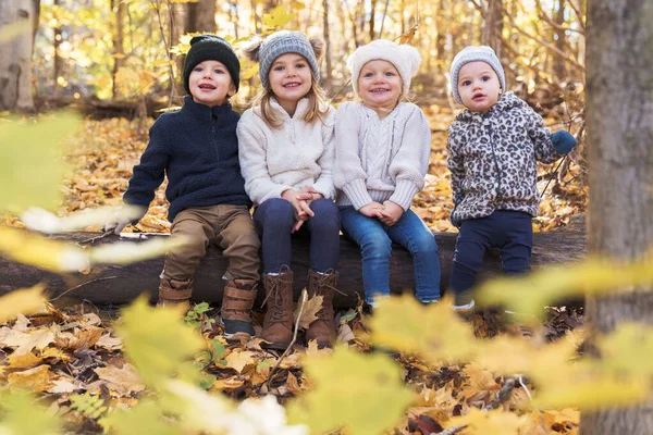 cute caucasian kids on fall season outdoors