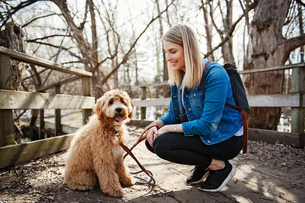 Happy Labradoodle Dog and woman outside at the park