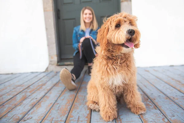 Labradoodle Pes a žena venku na balkoně — Stock fotografie