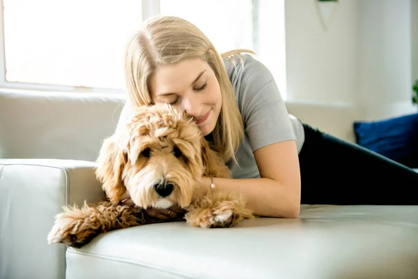 Vrouw met zijn gouden labradoodle hond thuis — Stockfoto