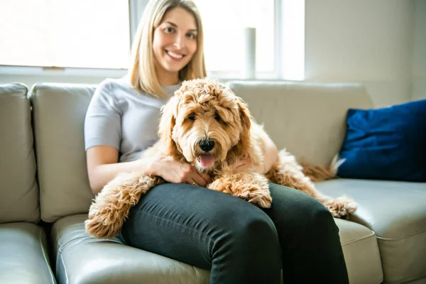 Vrouw met zijn gouden labradoodle hond thuis — Stockfoto