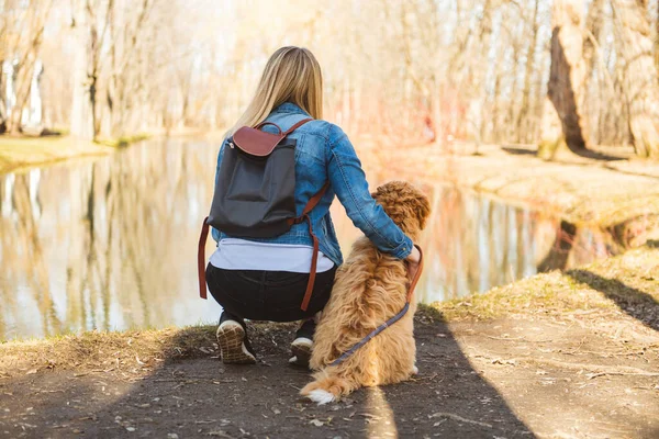 Labradoodle Pies i kobieta widok z tyłu na zewnątrz w parku — Zdjęcie stockowe