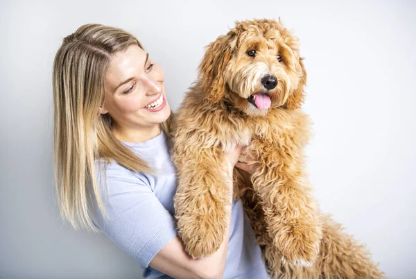 Mulher com seu cão Labradoodle dourado isolado no fundo branco — Fotografia de Stock