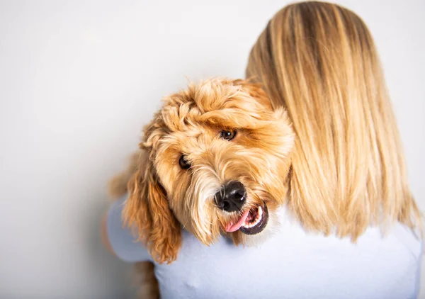 Žena s jeho Golden Labradoodle pes izolované na bílém pozadí — Stock fotografie