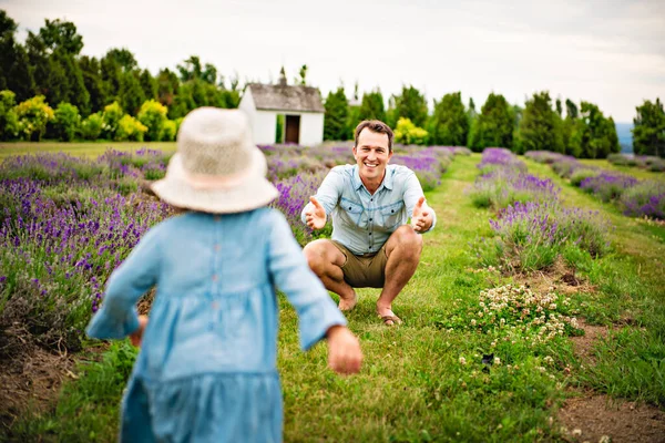 Lycklig familj far och dotter har kul i lavendel fält — Stockfoto