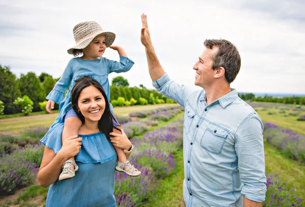 Щаслива родина мати, батько і дочка розважаються в лавандовому полі — стокове фото