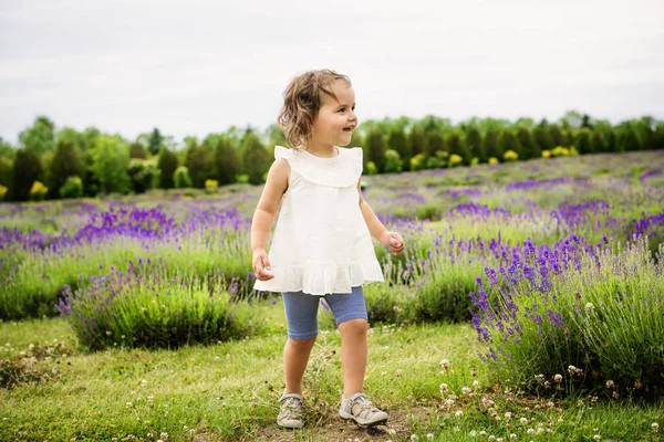 ラベンダー畑の子供。自然の中で幸せな子供. — ストック写真