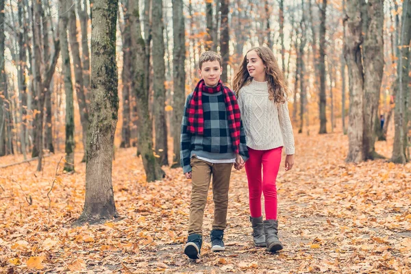 Portret dwojga młodszego brata i siostry w sezonie jesiennym na zewnątrz — Zdjęcie stockowe