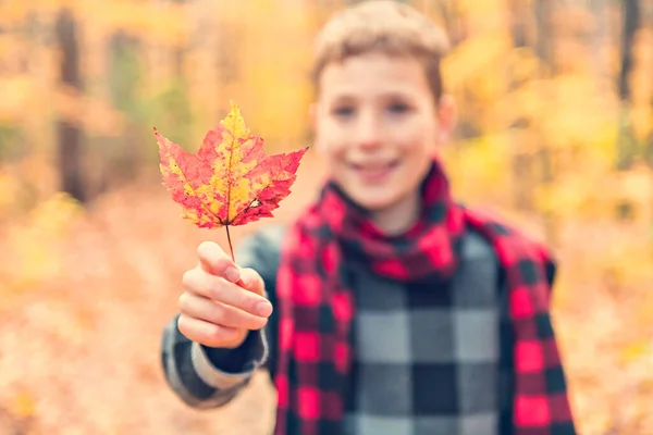 Portret dziecka w sezonie jesiennym poza gospodarstwem liści — Zdjęcie stockowe