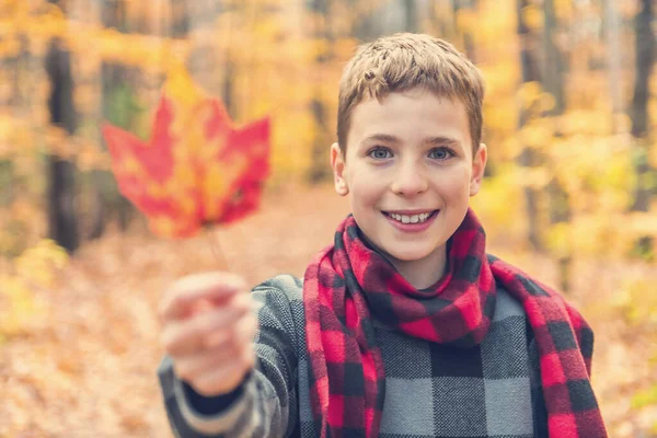 Portrait de l'enfant à l'automne en dehors de la feuille d'exploitation — Photo