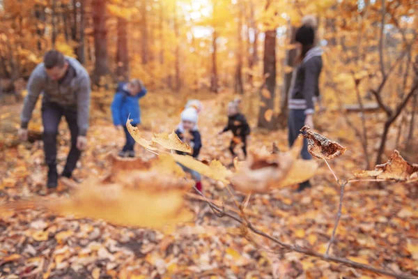 Portrait d'une jeune famille dans le parc d'automne — Photo