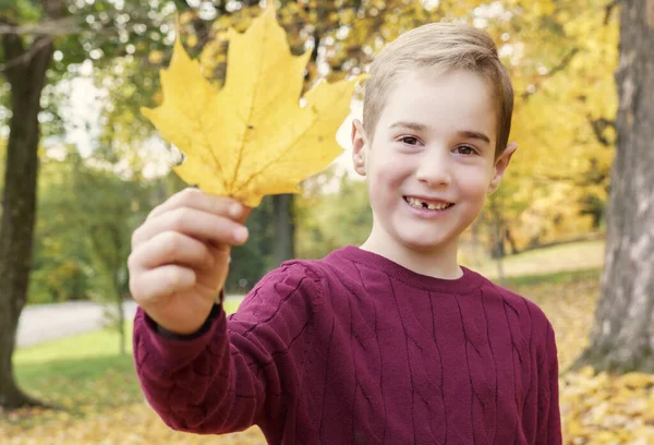 Gelukkig kind spelen buiten in de herfst park holding leaf — Stockfoto