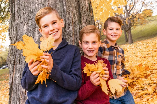 Barn bror i höstskogen har roligt tillsammans håller blad — Stockfoto