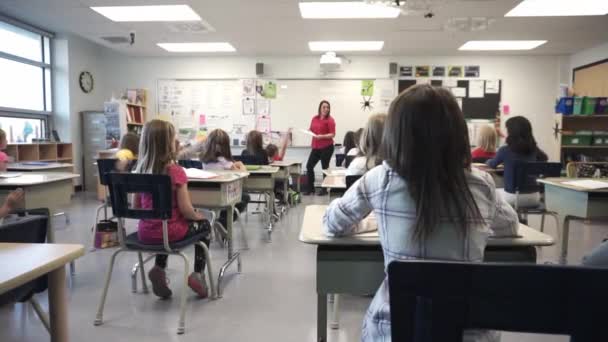 Classroom at the elementary school the child with hand high enswer to a question — Stock Video