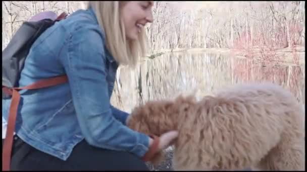 Happy Labradoodle Hund och kvinna utanför i parken — Stockvideo