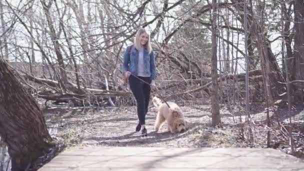 Χαρούμενο Λαμπραντούντλ Σκύλος και γυναίκα έξω στο πάρκο — Αρχείο Βίντεο