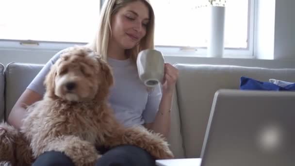 Mulher com seu cão Labradoodle dourado em casa beber café — Vídeo de Stock