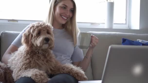 Mulher com seu cão Labradoodle dourado em casa beber café — Vídeo de Stock