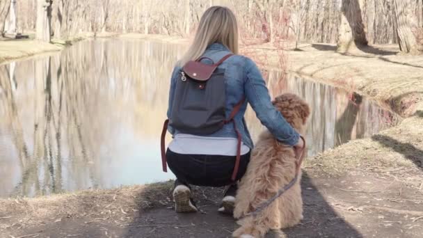 Labradoodle Cão e mulher vista de volta do lado de fora no parque — Vídeo de Stock