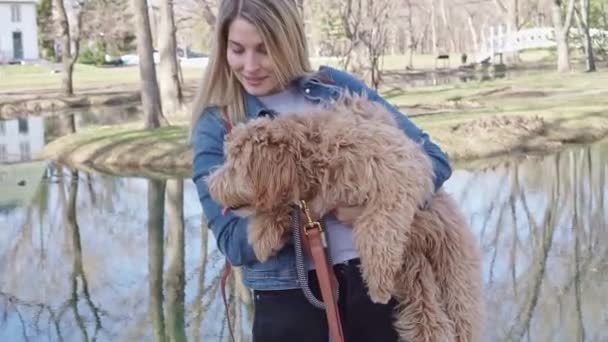 Mutlu Labradoodle Köpeği ve kadını parkın dışında — Stok video
