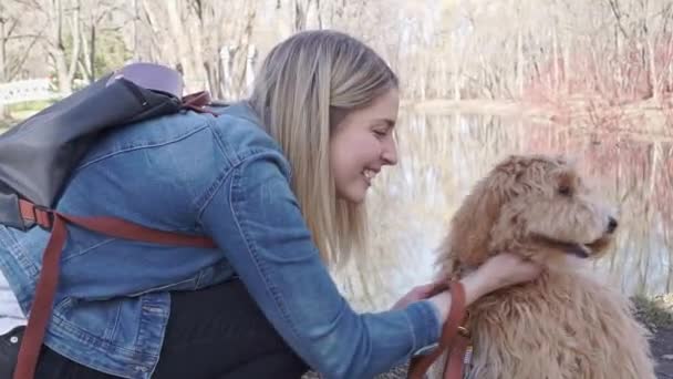 Glücklicher Labradoodle Hund und Frau draußen im Park — Stockvideo