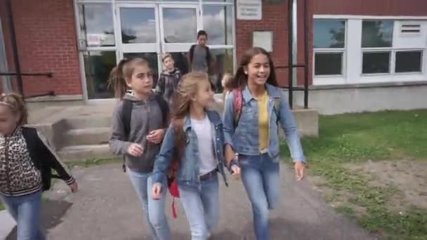 Groupe d'enfants sur le fond de l'école avoir du plaisir — Video