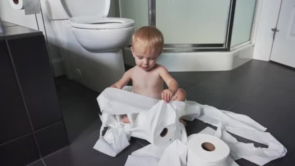 Toddler ripping up toilet paper in bathroom — Stock Video